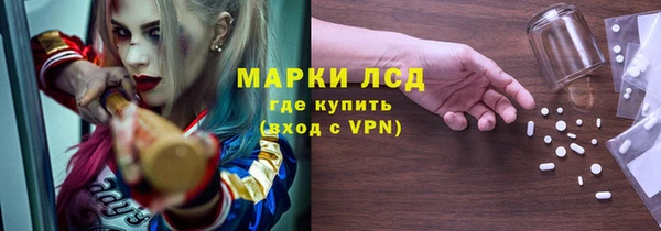 спайс Бородино