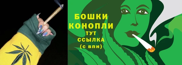 крисы Бронницы