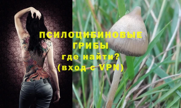 спайс Бородино