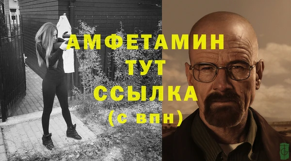 крисы Бронницы