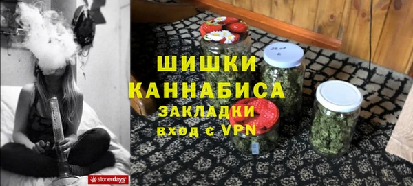 спайс Бородино
