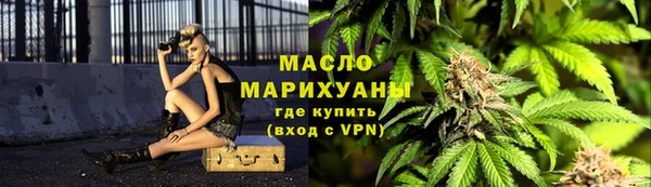 крисы Бронницы