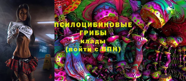 спайс Бородино
