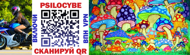 Купить закладки Севск Галлюциногенные грибы Magic Shrooms