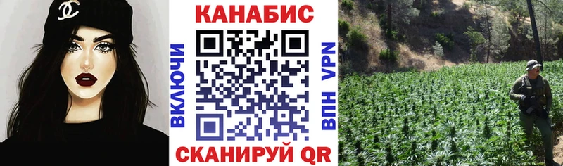 Купить где  Севск  Бошки марихуана гибрид 